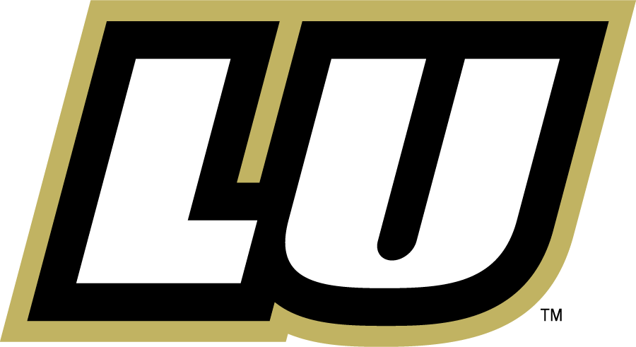 Lindenwood Lions 2010-2018 Wordmark Logo v2 diy iron on heat transfer